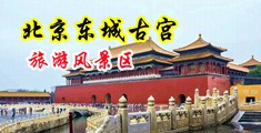 使劲操嫩逼使劲扣逼视频中国北京-东城古宫旅游风景区